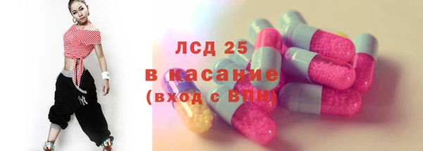 гашик Чегем