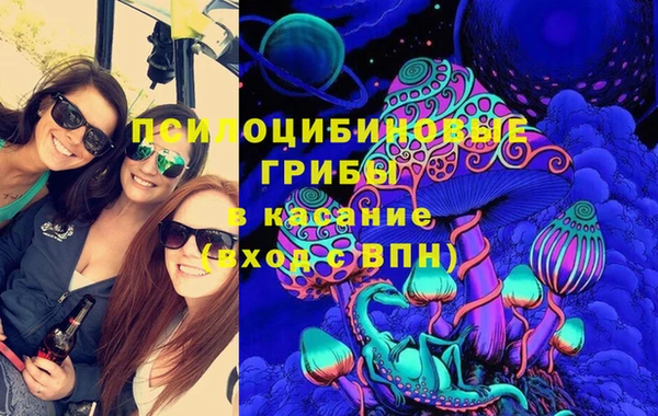 эйфоретик Алексин